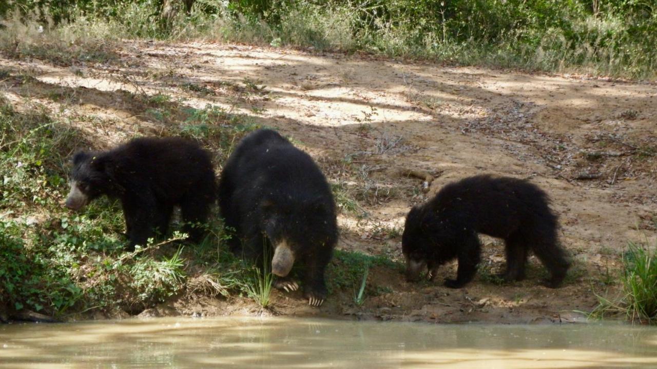 Kele Yala Villa Dış mekan fotoğraf
